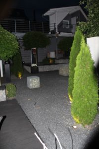 IMG_0879